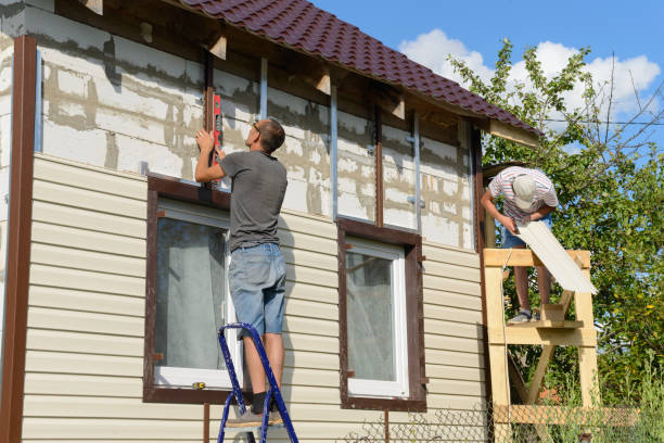 Best Insulated Siding Installation  in Douglas, AZ